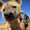 Badwolf